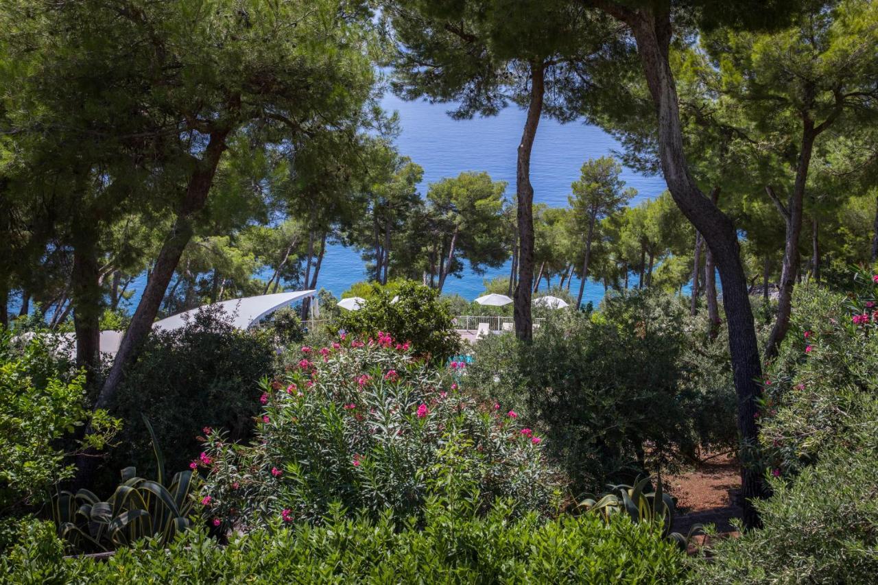 Hotel Villa Delle Meraviglie 마라테아 외부 사진
